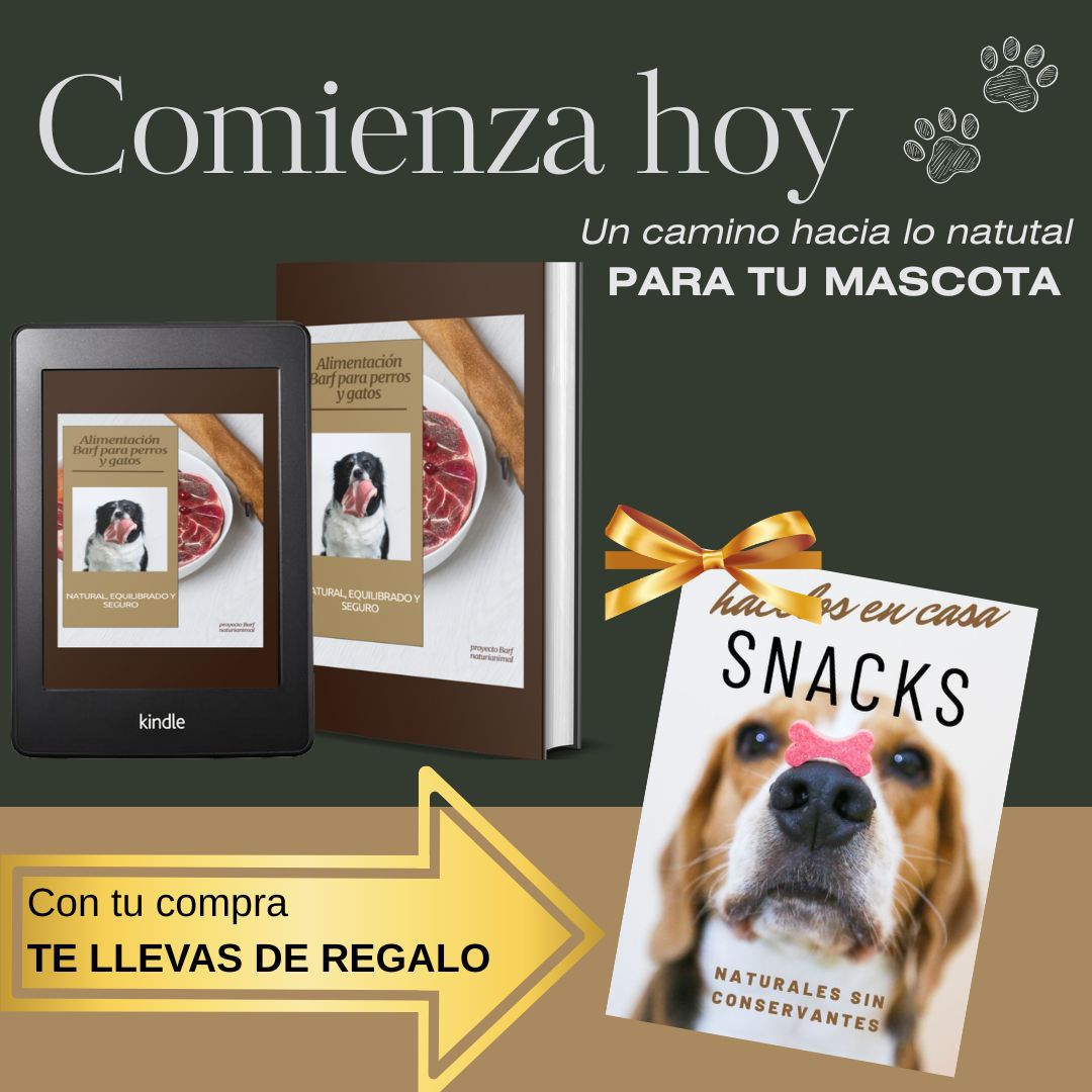 Alimentación barf para perros y gatos